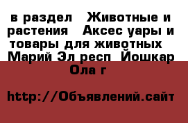  в раздел : Животные и растения » Аксесcуары и товары для животных . Марий Эл респ.,Йошкар-Ола г.